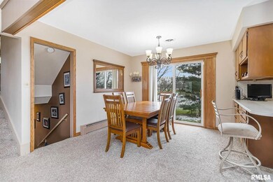 29400 34th Ave N, Hillsdale, IL 61257 - photo 5