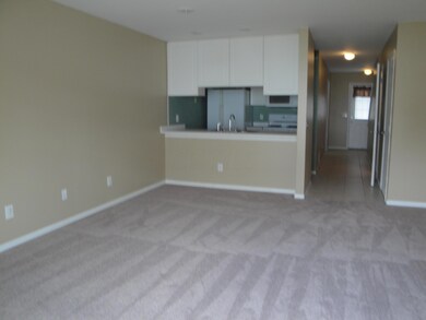 New Carpet