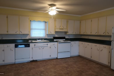 007 kitchen 2