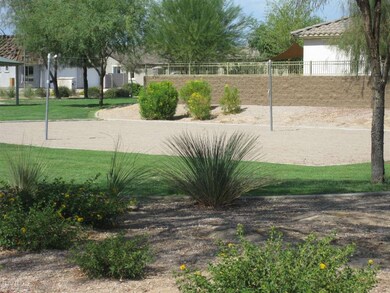 Volleyball Amenity
