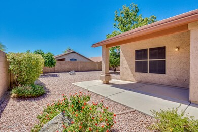 31-Adobe