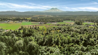 31208 Lebor Devore Rd E, Eatonville, WA 98328 - photo 2