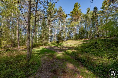 LotOnRainbowLake_Lot_From_Driveway