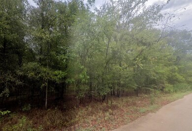 Maguire Rd, Cleveland, TX 77327 - photo 7