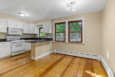 21 Frank St, Watertown, MA 02472 - photo 7