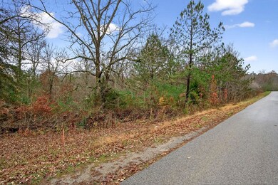 0 Center Point Acres N unit RTC3050083, Walling, TN 38587 - photo 4