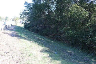 TBD E Webster St, Jefferson, TX 75657 - photo 5