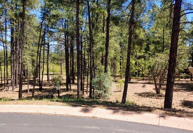 Woods