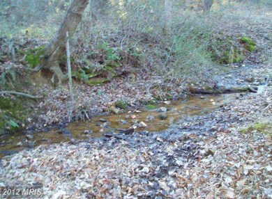 0 Mt Pisgah Church Rd unit 1003863084, Orange, VA 22960 - photo 6