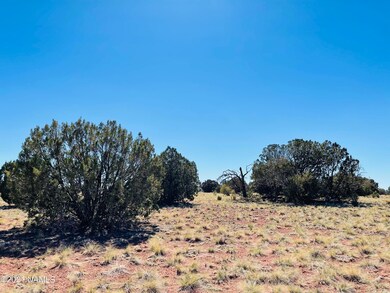 6868 Lasso Loop Photo 5