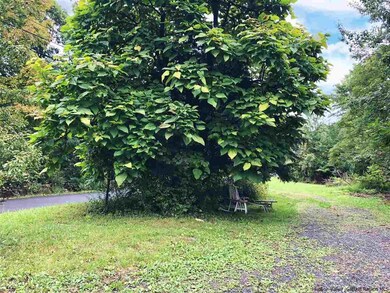 210 Baileys Gap Rd unit 212, Highland, NY 12528 - photo 6