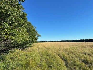 16244 Holden Rd unit B-3, Galien, MI 49113 - photo 2