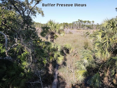 Lot 2 Cr 30-A, Port St. Joe, FL 32456 - photo 4