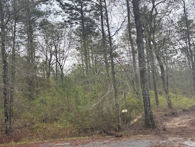 Lot 2 Jacquelyn Ct, Bainbridge, GA 39819 - photo 6