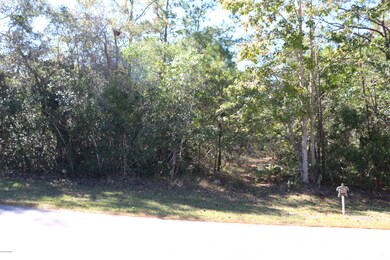 7_83 Acres Riverview Dr 2