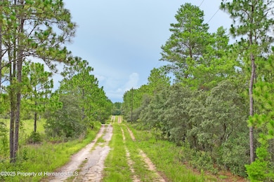 photos_high_resolution_101_Tami_Frontage