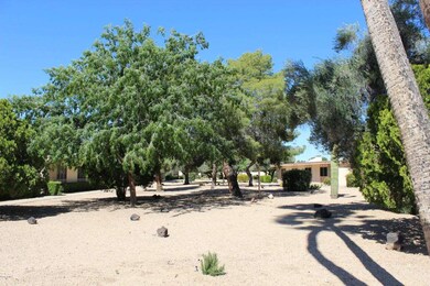 13802 N 111th Ave unit 17H, Sun City, AZ 85351 - photo 4