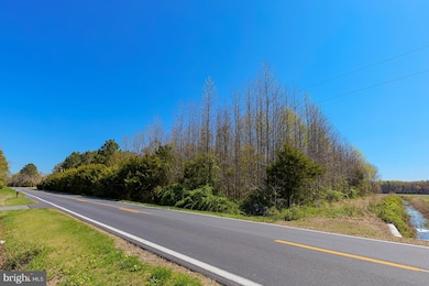 0 E Trap Pond Rd unit DESU2083648, Georgetown, DE 19947 - photo 2