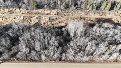 Parcel A Parameter Rd, Deer River, MN 56636 - photo 4