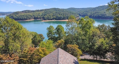 156 Little Deer Path Ln, Lafollette, TN 37766 - photo 4