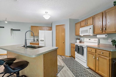 20048 Cabrilla Way Farmington MN_0014.jpg