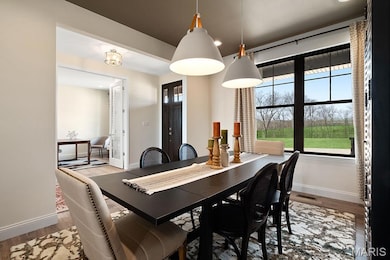 Example Picture of the Forest, some features shown may be optional upgrades