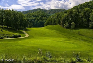 745 Hunters Run Rd, Townsend, TN 37882 - photo 4