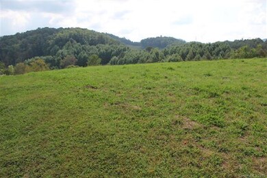 0 Sam's Cir unit 3132048, Burnsville, NC 28714 - photo 3