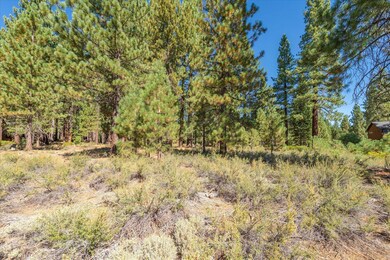 11272 Wolverine Cir, Truckee, CA 96161 - photo 7
