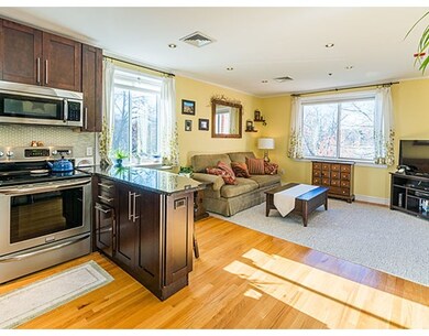 332 Jamaicaway unit 308, Jamaica Plain, MA 02130 - photo 5