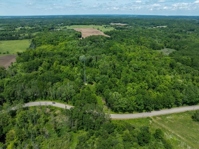 34-web-or-mls-DJI_0478