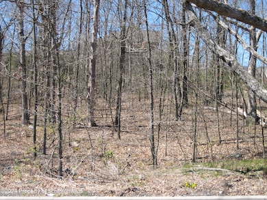 0 Julian Ln, Archbald, PA 18403 - photo 3