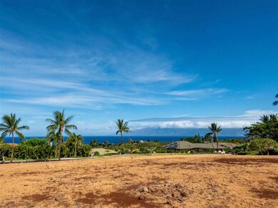 975 Anapuni Place unit 64 Ph 1, Lahaina, HI 96761 - photo 4
