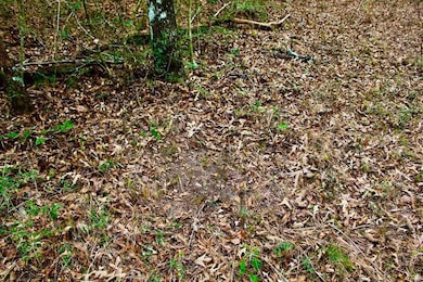 741 Beach Rd, Columbia, MS 39429 - photo 5