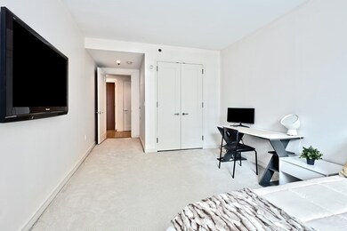Millenium Place unit 712, Boston, MA 02111 - photo 5