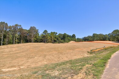 Lot 7 - NE