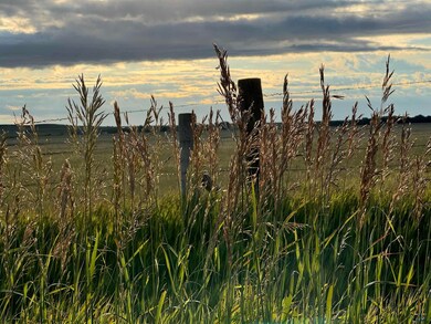 14483 Braylee Jo Rd, Piedmont, SD 57769 - photo 6