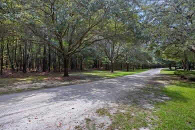 0 Pawlett Blake Ln unit 25023063, Wadmalaw Island, SC 29487 - photo 7