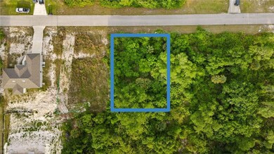 unlisted-address, Alva, FL 33920 - photo 3