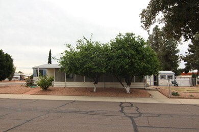 3 FRUIT TREES