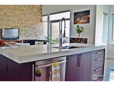 363 Pascal St, Fort Collins, CO 80524 - photo 7