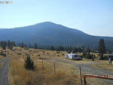 60526 Marysville Ln, Canyon City, OR 97820 - photo 3