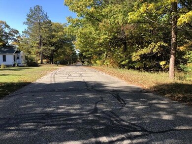 Lots 2 & 3 W Etherington St, MacKinaw City, MI 49701 - photo 4