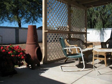Backyard03