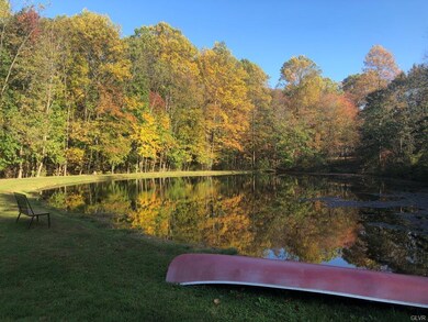 Pond