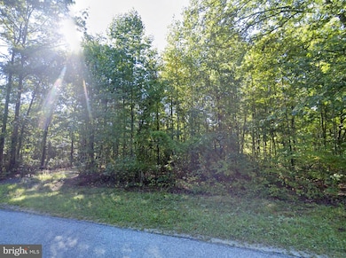 6067 Laurel Rd, Shipman, VA 22971 - photo 4