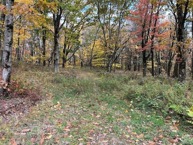 1 W Hill Rd, Austerlitz, NY 12017 - photo 2