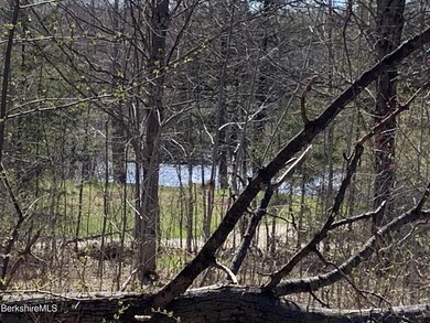 Lake view from the lot