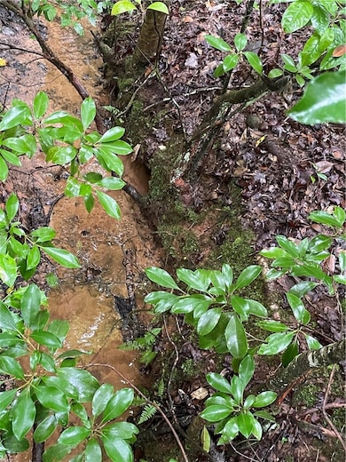 00 N Little River Rd, Salem, SC 29676 - photo 4