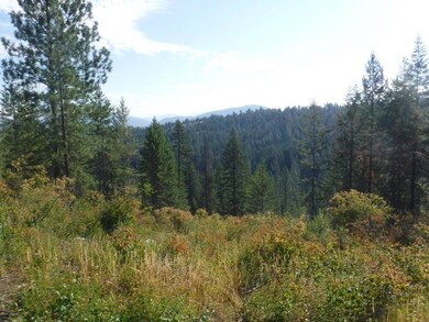 Lot 4 Moose Ridge Way, Loon Lake, WA 99148 - photo 6